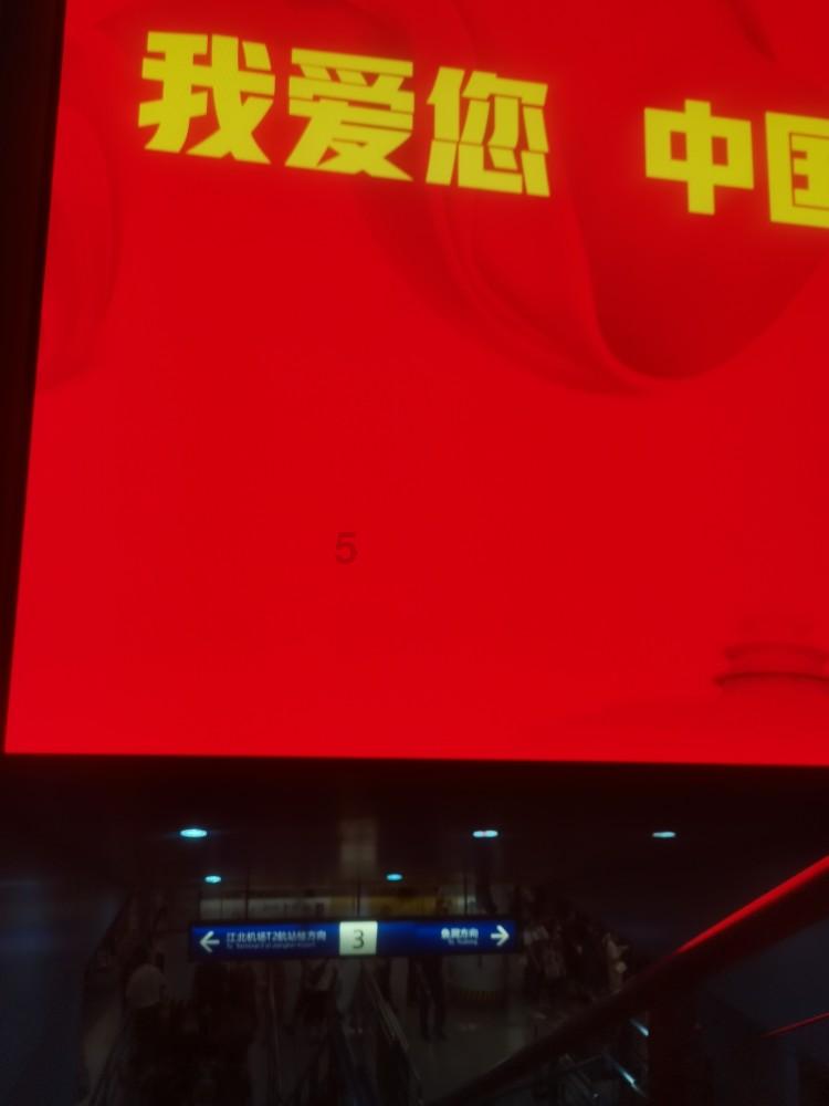破碎的动物图形2